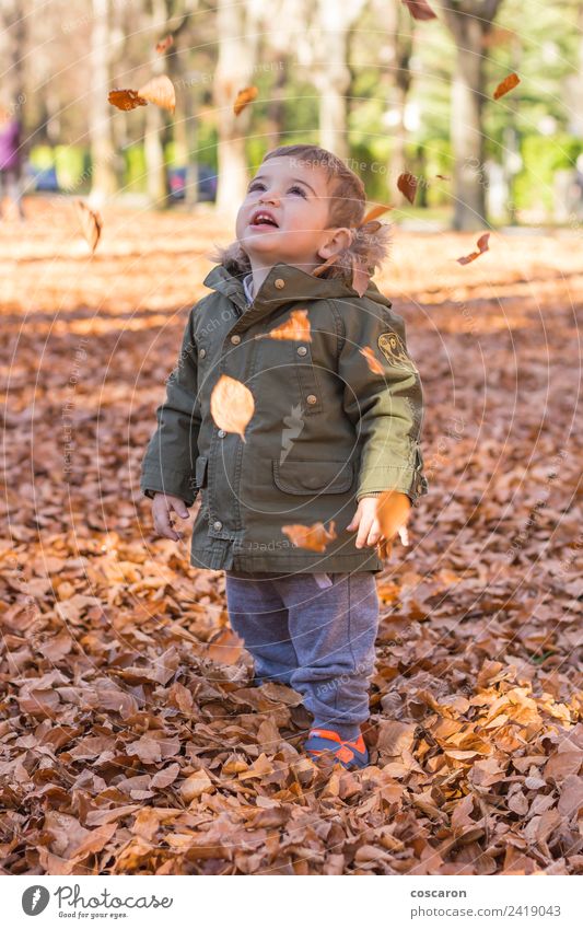 Cute baby seeing falling leaves Joy Child Boy (child) Man Adults Infancy Hand Environment Nature Landscape Autumn Warmth Tree Grass Leaf Park Clothing Happiness