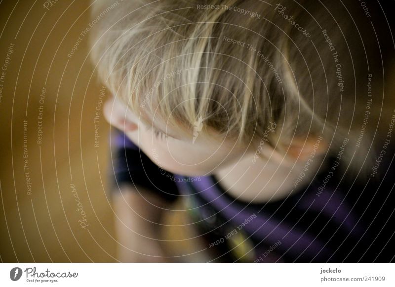 Au cheek Masculine Child Head 1 Human being 1 - 3 years Toddler Blonde Growth Multicoloured Anticipation Trust Purity Colour photo Interior shot Blur