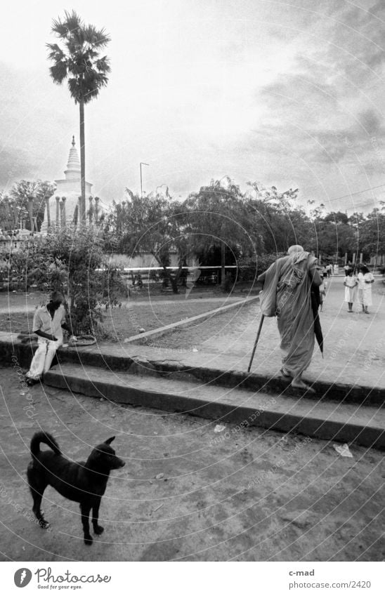 Monk in front of Stupa - Sri Lanka Dog Human being Black & white photo
