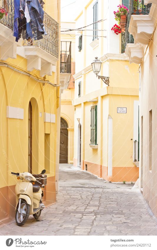 Gallipoli, Apulia - A motor scooter in a historical alleyway Alley Architecture Balcony City Europe Facade Fishing village folding shutter Historic Old town