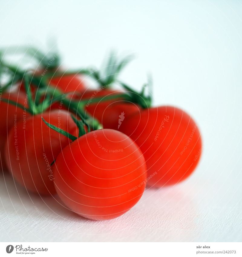 red white Food Vegetable Organic produce Vegetarian diet Diet Tomato Fresh Delicious Natural Round Green Red White Teamwork Bush tomato Healthy Eating