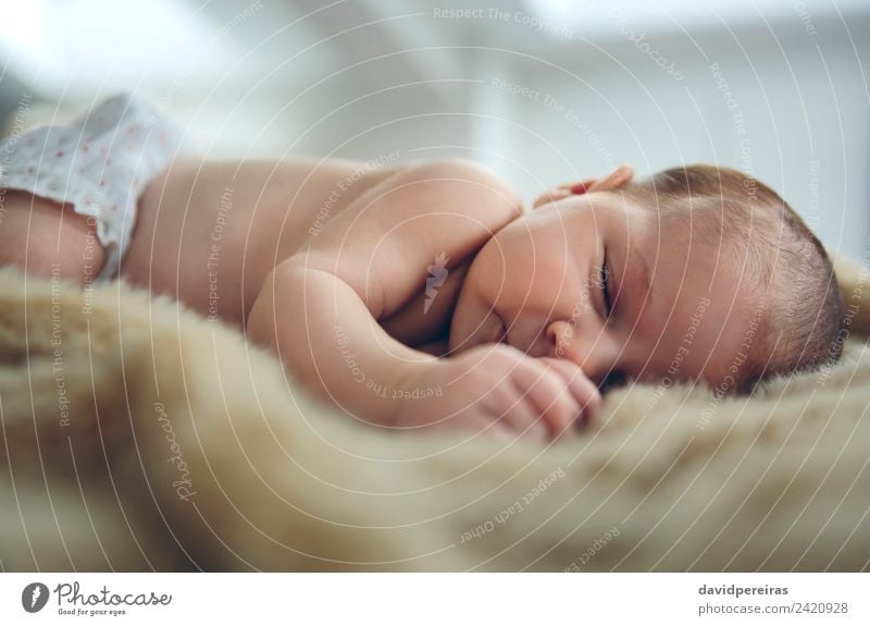 Newborn baby girl sleeping lying on blanket on bed Beautiful Calm Bedroom Child Human being Baby Woman Adults Infancy Sleep Authentic Small Naked Cute