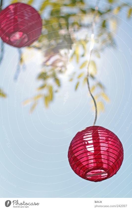 light balls Garden Lamp Entertainment Event Feasts & Celebrations Valentine's Day Mother's Day Wedding Cable Air Sky spring Summer Beautiful weather hang