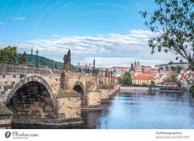 Charles Bridge on the side and Prague city Lifestyle Beautiful Vacation & Travel Summer Art Landscape Old town Building Architecture Tourist Attraction