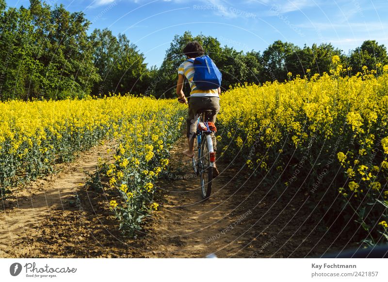 Young man riding his bicycle through a rape field Happy Life Contentment Leisure and hobbies Vacation & Travel Tourism Trip Freedom Expedition Cycling tour