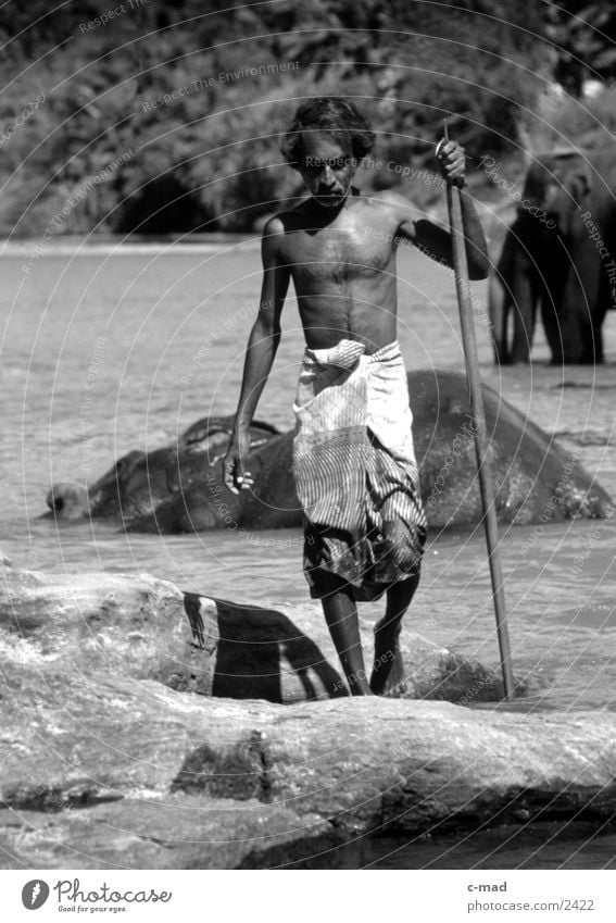 Mahout - Sri Lanka Elephant Work and employment Man Human being Water mahout Black & white photo