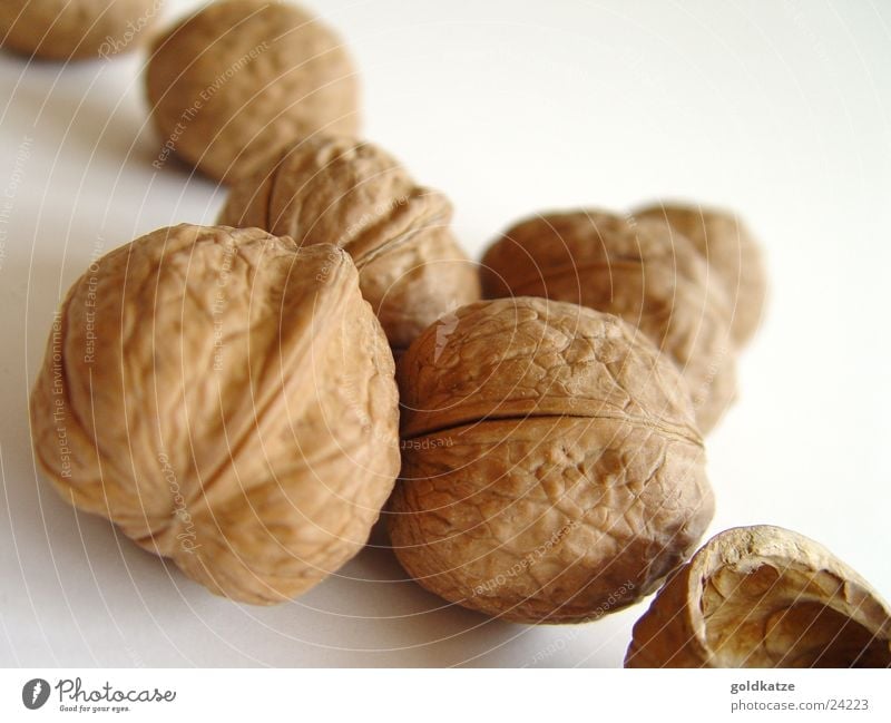 walnuts Food Fruit Nutrition Organic produce Vegetarian diet Healthy Thanksgiving Christmas & Advent Autumn Winter Garden Simple Firm Delicious Natural Round