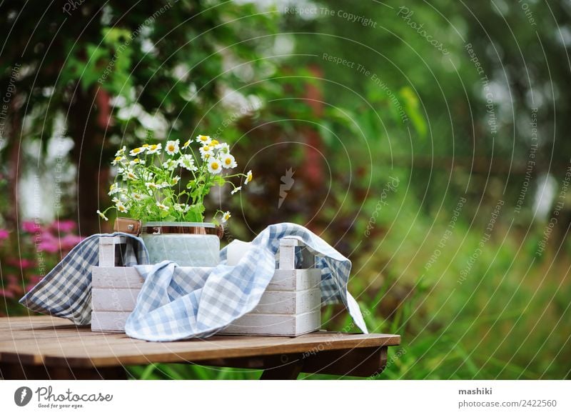 Beautiful summer scene with bouquet of chamomile flowers Leisure and hobbies Summer Garden Decoration Table Nature Plant Flower Cloth Growth Fresh Bright