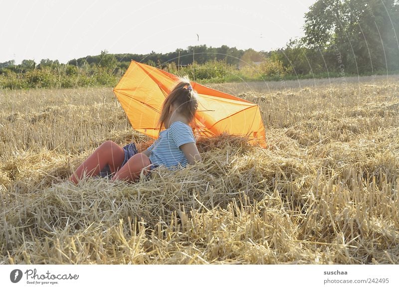 backlight girl photo Girl Infancy Hair and hairstyles 1 Human being 8 - 13 years Child Nature Landscape Sky Summer Beautiful weather Field Sit Joy Climate