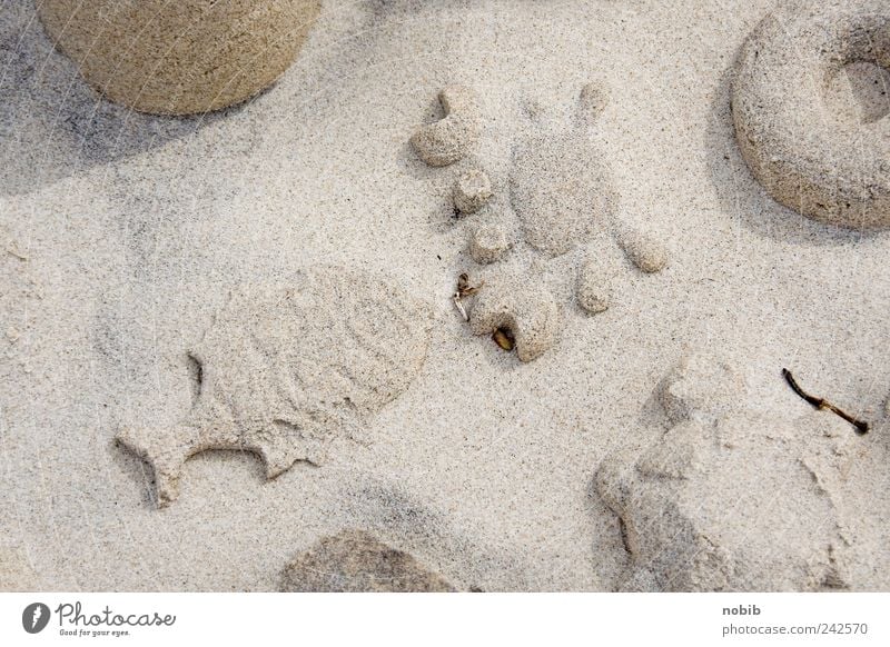 s(tr)andgetier Leisure and hobbies Model-making Vacation & Travel Summer Summer vacation Beach Art Sculpture Sand Fish Scales Group of animals Ornament Build