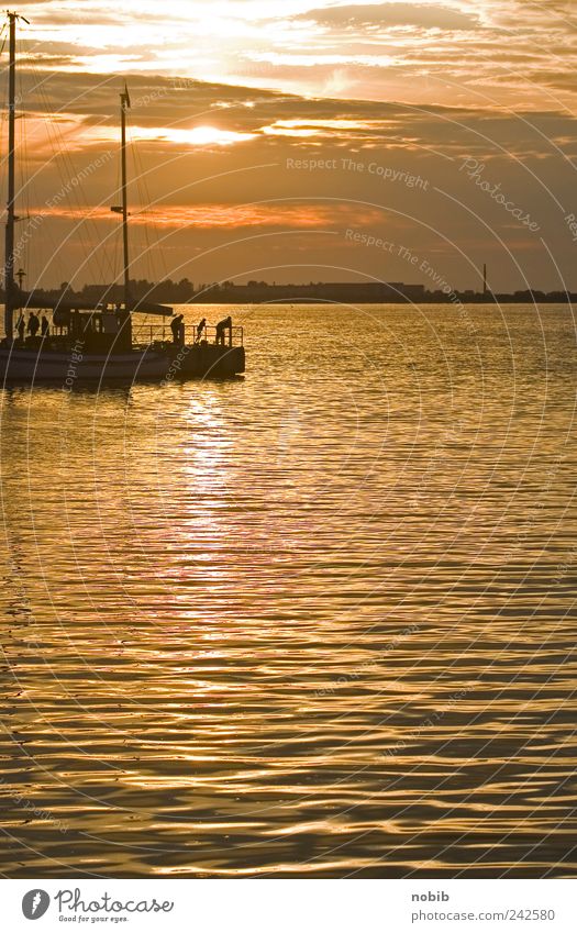 jetty Clouds Horizon Sunrise Sunset Sunlight Summer Beautiful weather Coast Bay Baltic Sea Island Fishing village Populated Harbour Navigation Inland navigation