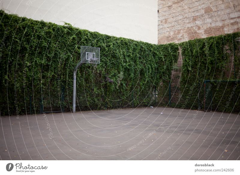 basketball. Leisure and hobbies Playing Ball sports Sporting Complex Basketball basket Basketball arena Germany Europe House (Residential Structure) Building