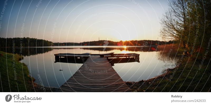 brown pond Water Sunrise Sunset Lakeside Pond Jetty Romance Serene Calm Relaxation Leisure and hobbies Nature Environment Colour photo Exterior shot Deserted