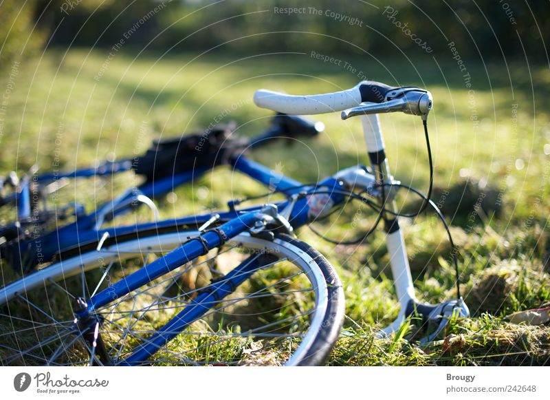Blue bicycle on green autumn meadow Leisure and hobbies Trip Freedom Summer Summer vacation Garden Bicycle Environment Nature Plant Beautiful weather Grass
