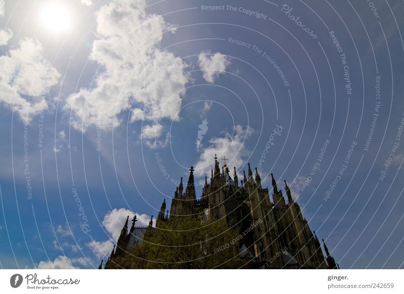 So close to heaven Cologne Cologne Cathedral Downtown Deserted Church Dome Manmade structures Architecture Facade Tourist Attraction Landmark Famousness Tower