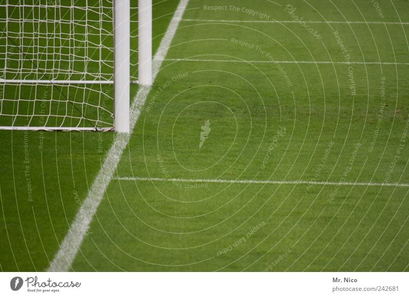"Not as long as you." Sports Ball sports Goalkeeper Sporting Complex Football pitch Stadium Grass Meadow Green Soccer Goal Line Net Sideline Penalty area