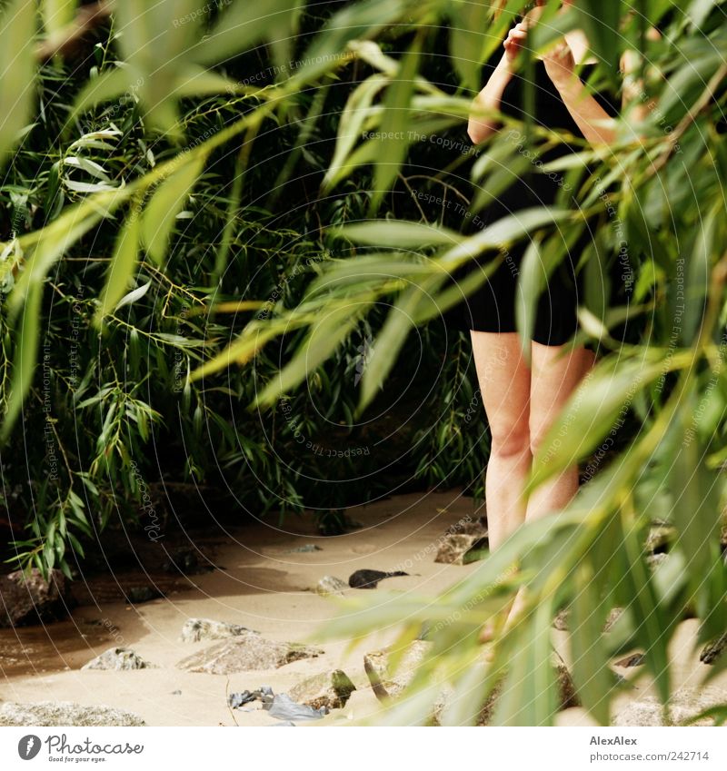 ... see you on the beach! Feminine Young woman Youth (Young adults) Legs 1 Human being 18 - 30 years Adults Plant Sand Beautiful weather Tree Bushes River Beach