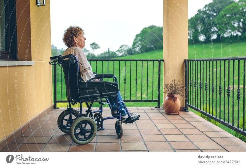 Older woman in a wheelchair Health care Medication Relaxation House (Residential Structure) Retirement Human being Woman Adults Grandmother Plant Tree Grass