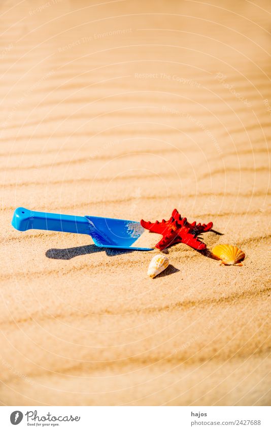 Toy shovel with starfish on a beach Joy Relaxation Leisure and hobbies Playing Vacation & Travel Tourism Summer Beach Child Sand Happiness Warmth Blue Yellow