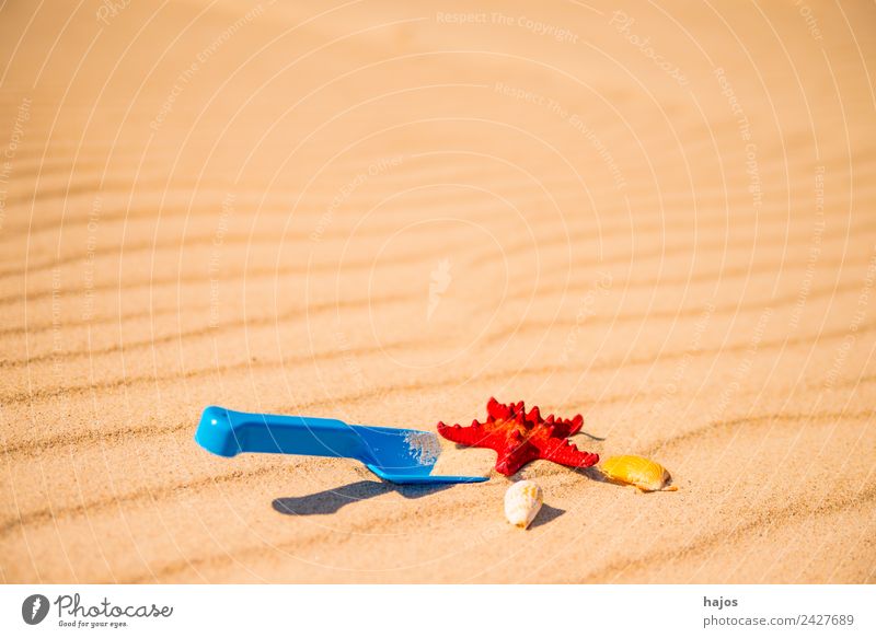 Shovel and starfish on the beach Joy Relaxation Vacation & Travel Summer Beach Child Sand Beautiful weather Friendliness Happiness Maritime Blue Yellow Toys