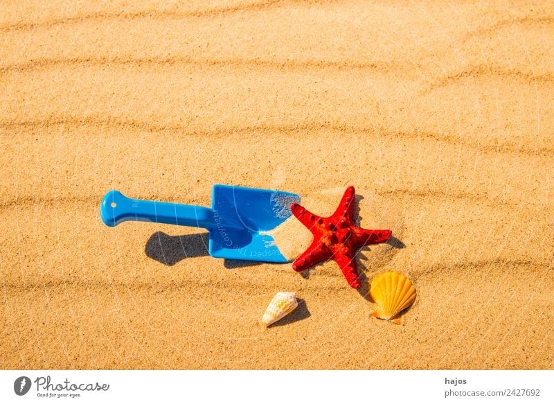 Shovel and starfish on the beach Joy Relaxation Vacation & Travel Summer Beach Child Sand Baltic Sea Yellow Tourism Children's game Toys Starfish Red snails