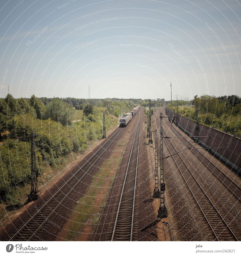 freight train Landscape Sky Plant Tree Bushes Foliage plant Transport Means of transport Traffic infrastructure Logistics Rail transport Freight train