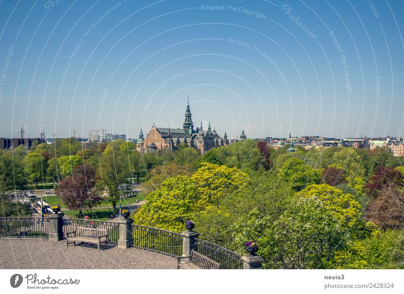 View over Stockholm City Nature Landscape Cloudless sky Spring Summer Beautiful weather Garden Park Town Capital city Outskirts Skyline Church Places