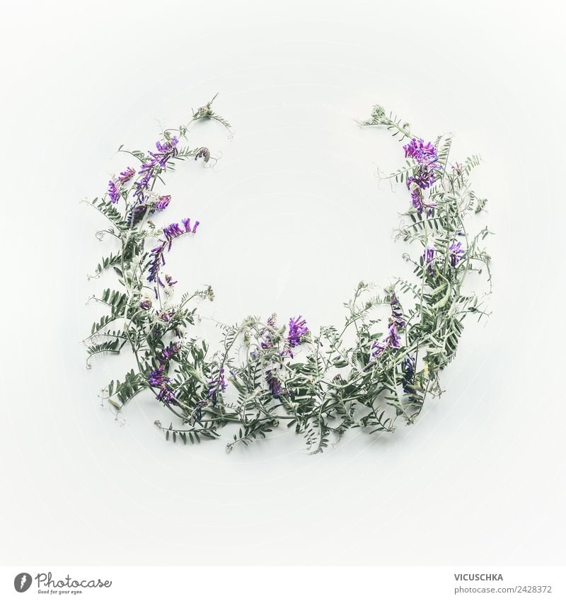Wreath of wild purple flowers Style Design Summer Nature Plant Flower Leaf Blossom Decoration Bouquet Background picture Frame Round Bright background Sweet pea