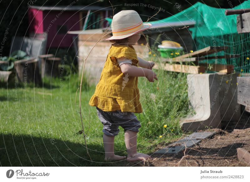 Garden eco toddler green hat Feminine Toddler Girl 1 Human being 1 - 3 years Summer Beautiful weather Grass Foliage plant Agricultural crop Observe Stand