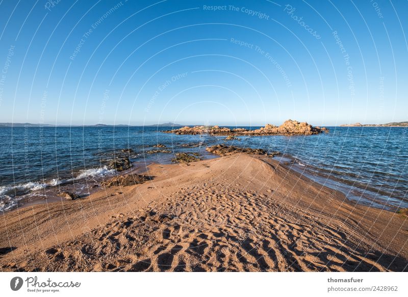 Sardinia headland (north), sea Vacation & Travel Tourism Trip Freedom Summer Summer vacation Sun Beach Ocean Island Waves Landscape Cloudless sky Horizon
