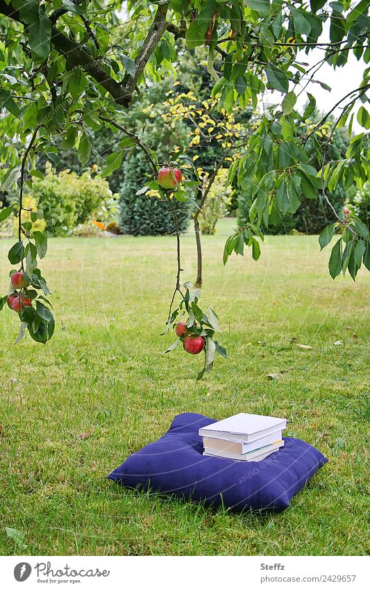 Reading in the garden Relaxation books pile of books Reading matter Literature reading Contentment Calm To enjoy Idyll idyllically Know Academic studies Study