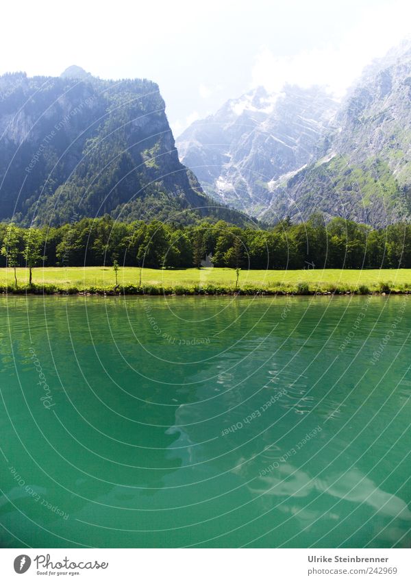 Water Green Vacation & Travel Tourism Trip Summer Mountain Lake Königssee Berchtesgaden Bavaria Nature Landscape Plant Beautiful weather Tree Grass Bushes