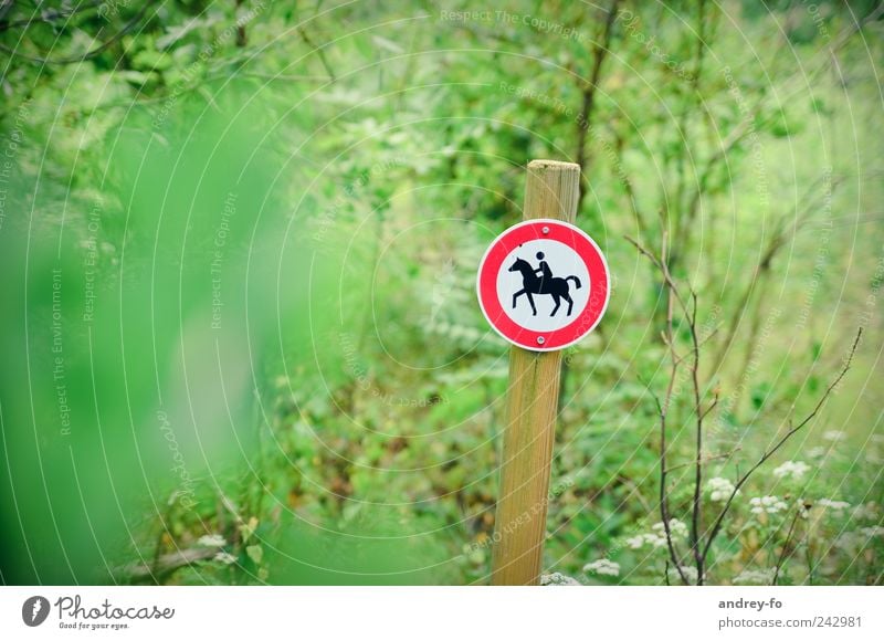 No riding! Nature Summer Park Forest Means of transport Horse-drawn carriage 1 Animal Sign Signs and labeling Bans Green Red Prohibition sign Ride