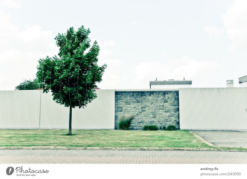 Minimalist. Meadow Manmade structures Architecture Wall (barrier) Wall (building) Street Stone Modern Clean Green Contentment Tree Lawn Pedestrian precinct Sky