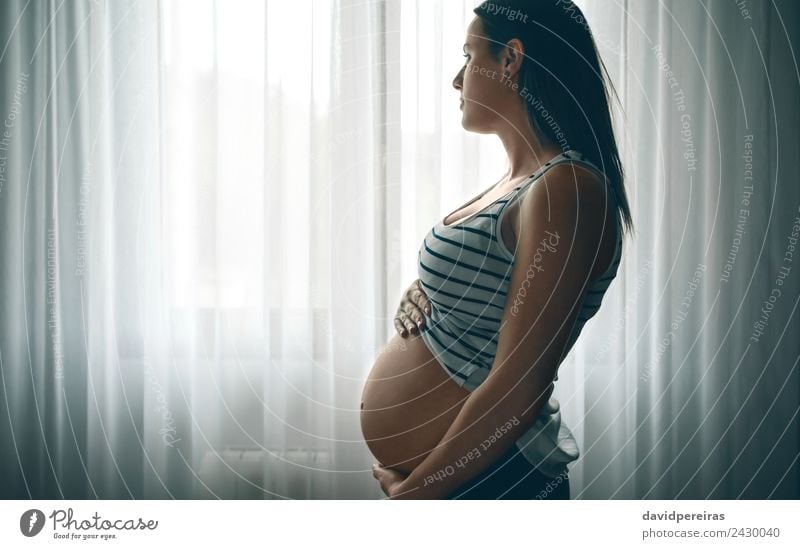 Pregnant caressing her nacked belly Lifestyle Beautiful Bedroom Parenting Human being Baby Woman Adults Mother Hand Love Wait Authentic Naked Serene Expectation