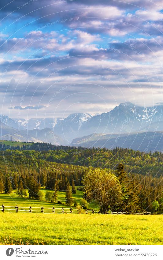 Inspiring evening light in spring. Sunset in Tatra Mountains Beautiful Vacation & Travel Tourism Summer Nature Landscape Sky Clouds Spring Tree Grass Meadow