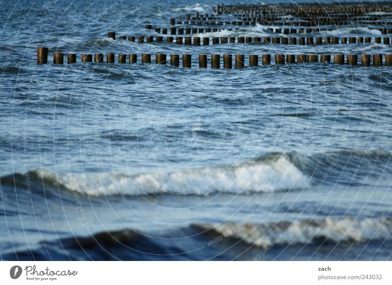 Baltic Swimming & Bathing Nature Water Wind Waves Coast Bay North Sea Baltic Sea Wood Wet Blue Break water White crest Colour photo Exterior shot Deserted