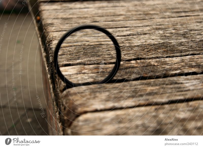 Wood eyes be vigilant! Lens Magnifying glass Enlarged Wooden board Bench Circle Stone Concrete Glass Metal Stripe Large Brown Gray Black Precision Places