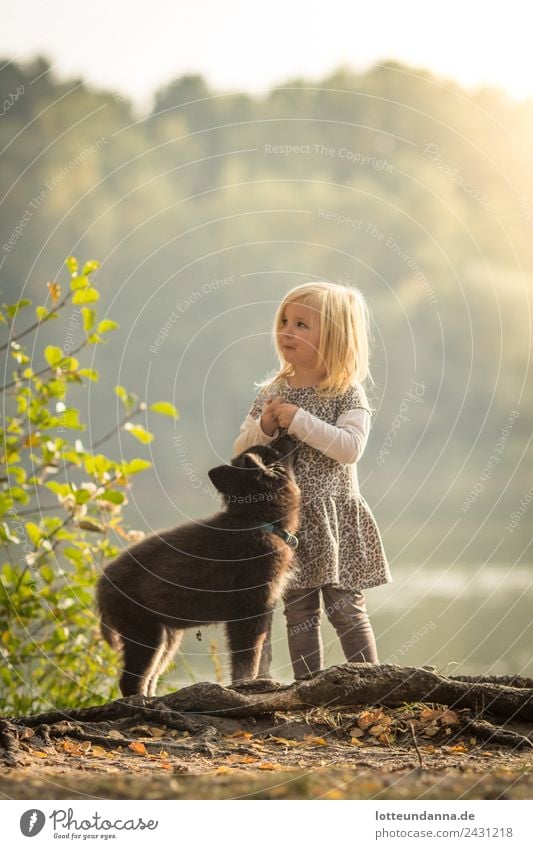 Girl with puppy at the lake Pet Dog Husky 1 Animal Baby animal Feeding To enjoy Stand Together Happy Cute Love of animals Loyalty Colour photo Exterior shot