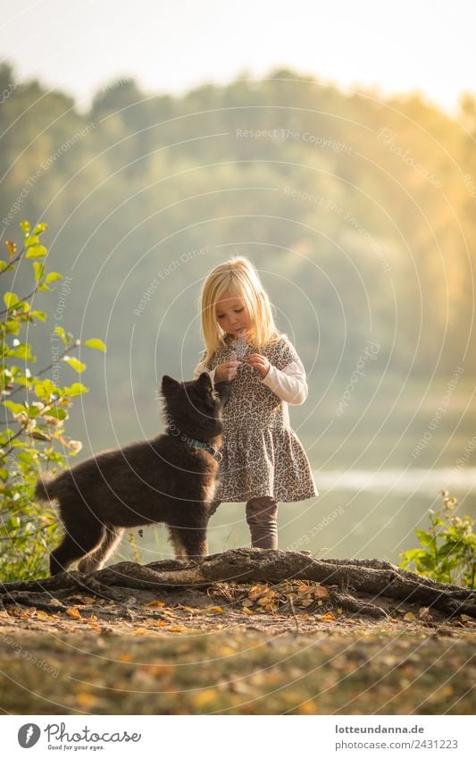 Girl with dog at the lake Feminine Toddler Body 1 Human being 3 - 8 years Child Infancy Water Sun Sunrise Sunset Sunlight Summer Beautiful weather Lakeside