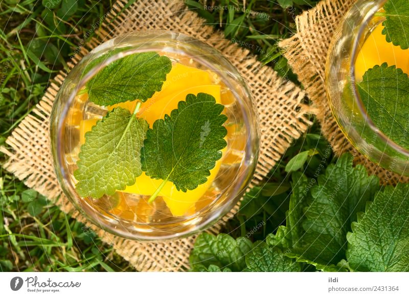 Peach, Lemon Balm and White Wine Punch Fruit Herbs and spices Beverage Alcoholic drinks Summer Grass Fresh Natural food wine cooler sweet Refreshment glass Lawn