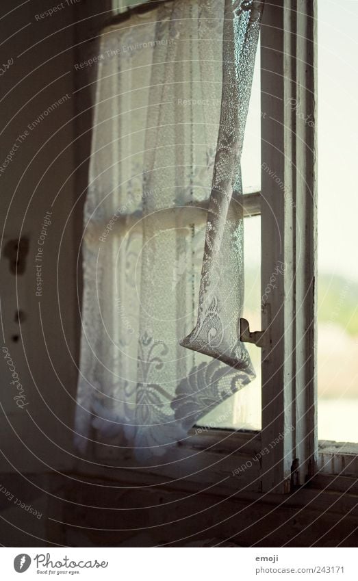 light breeze Village House (Residential Structure) Detached house Window Old Cold Curtain Drape Old fashioned Archaic Vintage Colour photo Interior shot Detail