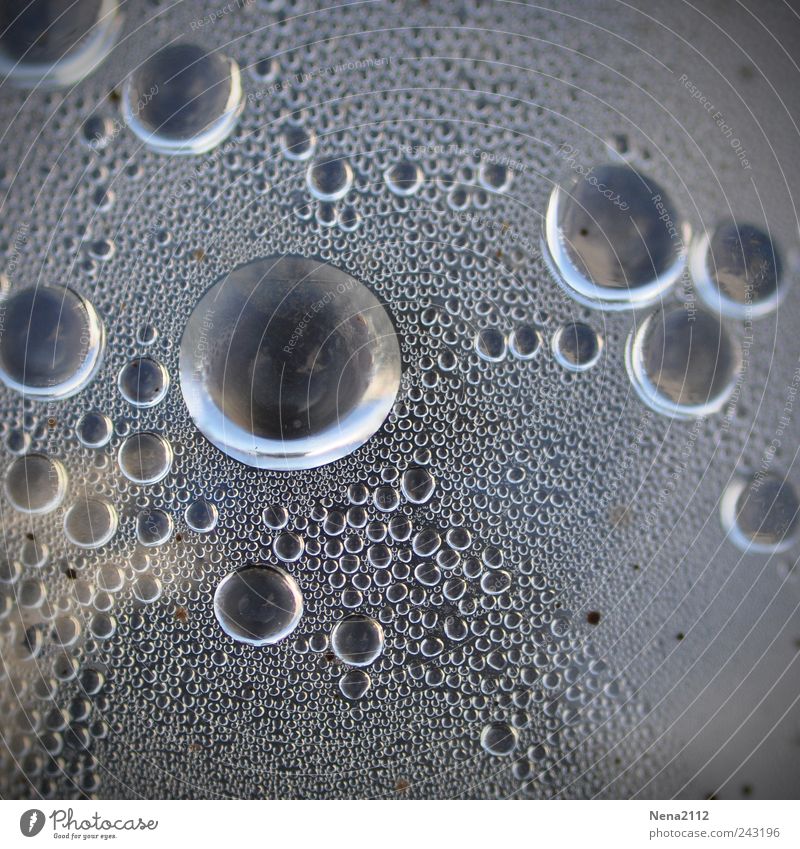 Big drops, small drops, all drops Cold drink Drinking water Lemonade Bottle Water Drops of water Wet Round Carbonic acid Condensation Condense Circle Circular