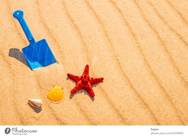 Shovel and starfish on the beach Joy Relaxation Vacation & Travel Summer Beach Sand Baltic Sea Yellow Infancy Tourism Blue Toys play in sand Playing Starfish