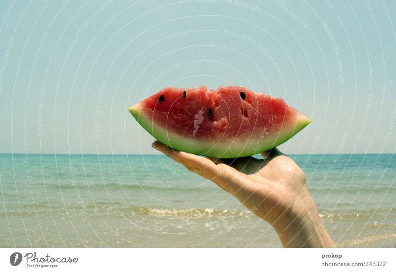 Melon for fishing Food Fruit Nutrition Organic produce Environment Nature Landscape Water Sky Cloudless sky Horizon Summer Beautiful weather Coast Beach Ocean