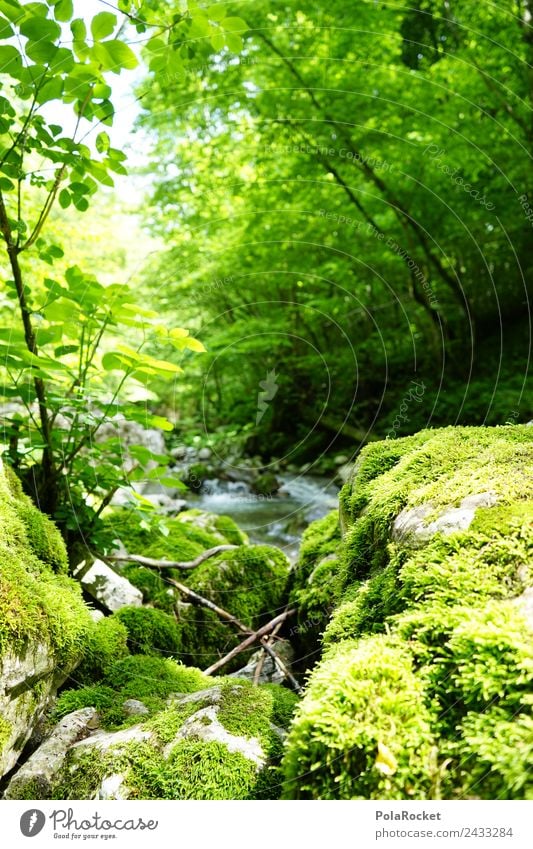 #S# Bach Idyll Environment Nature Wet Natural Brook Nature reserve Natural phenomenon Slovenia Green Moss Stone Water Fresh Relaxation River Sunlight Growth