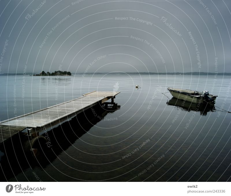 Evening at the sea Freedom Environment Nature Landscape Water Sky Clouds Horizon Bad weather Tree Coast Bay Island Västervik Sweden Northern Europe Motorboat