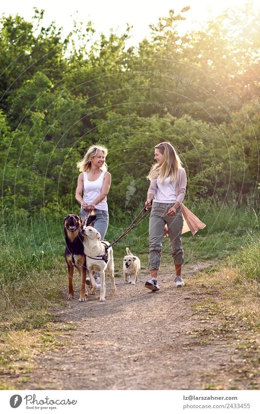 Happy laughing young women walking their dogs Lifestyle Beautiful Summer Woman Adults Friendship 2 Human being 18 - 30 years Youth (Young adults) 45 - 60 years