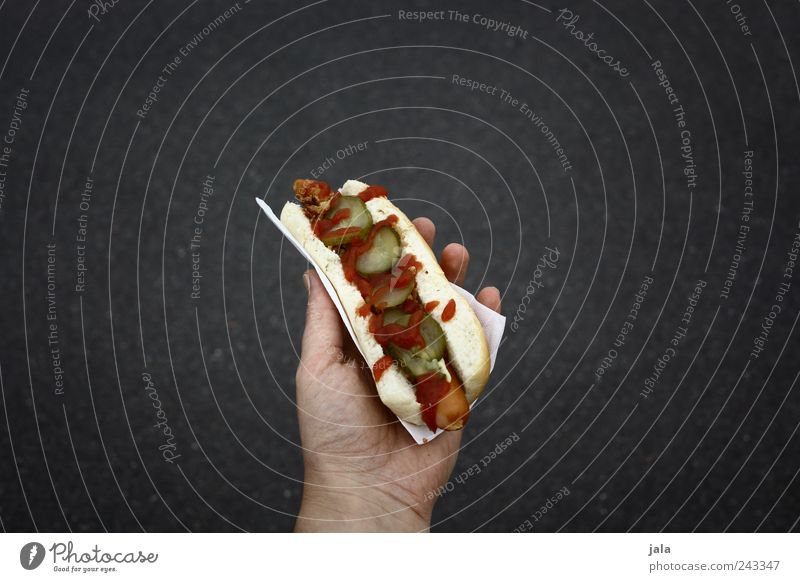 hot dog Food Sausage Roll Nutrition Fast food Hand Delicious Hot dog Retentive Colour photo Exterior shot Copy Space left Copy Space right Copy Space top