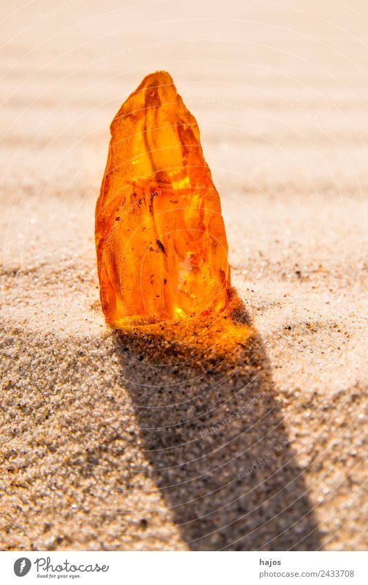 Amber at the Baltic Sea beach Juice Beach Nature Sand Authentic Yellow Precious stone Resin Old Illuminate Brilliant Mystic Bright lithotherapy